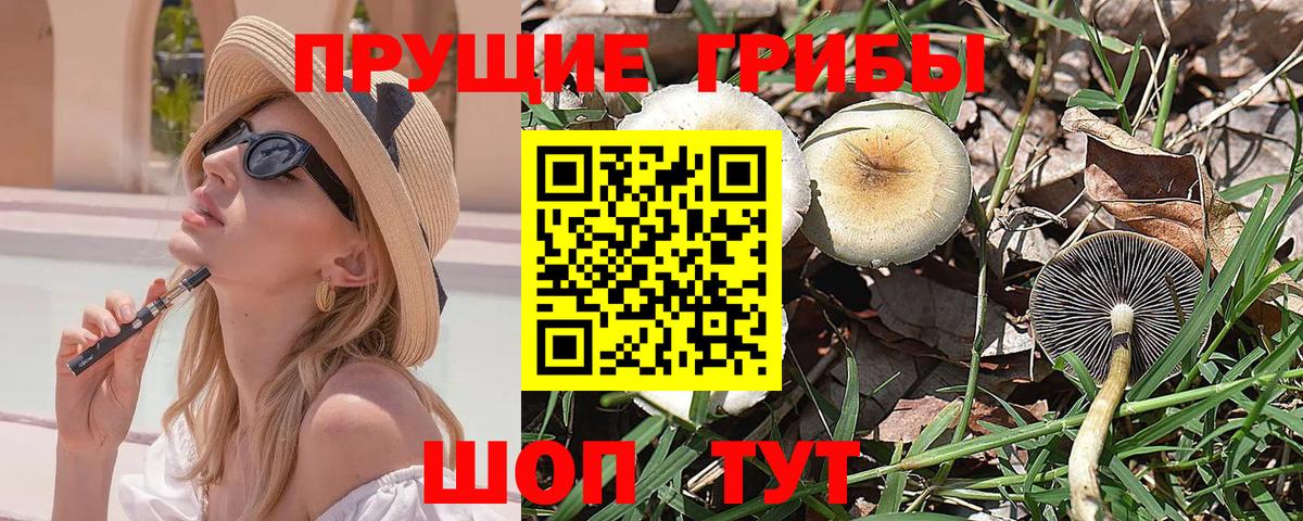Псилоцибиновые грибы ЛСД Кызыл